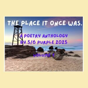 The Place It Once Was: A Poetry Anthology Volume 1
