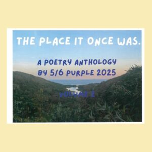 The Place It Once Was: A Poetry Anthology Volume 2