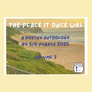 The Place It Once Was: A Poetry Anthology Volume 3